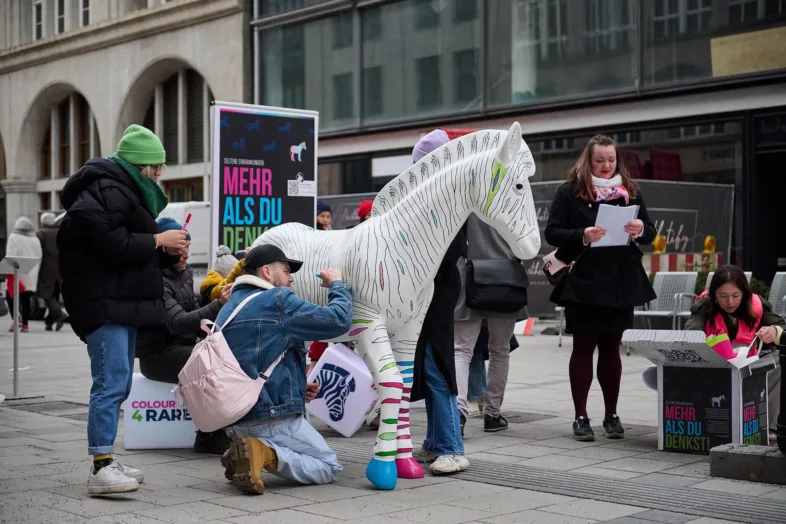 Eine Skulptur in der Größe eines lebensechten Zebras in der Fußgängerzone Münchens, welches von Passanten bemalt werden kann, um die einzelnen Streifen, die die seltenen Krankheiten symbolisieren sollen, sichtbarer zu machen.